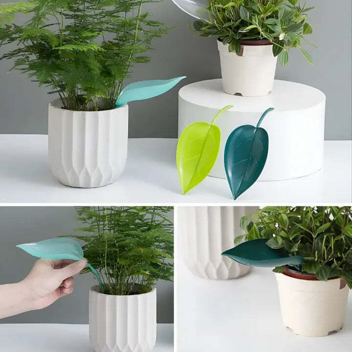 Mess-Free Watering Tool